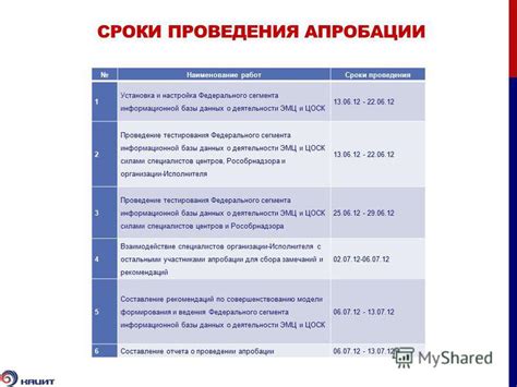 Проведение тестирования и настройка РПТ