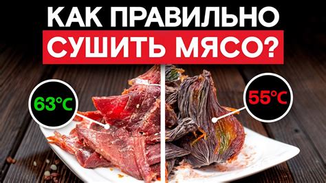 Проверка качества сушеного мяса