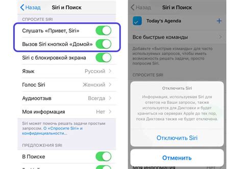 Проверка микрофона через Siri на iPhone