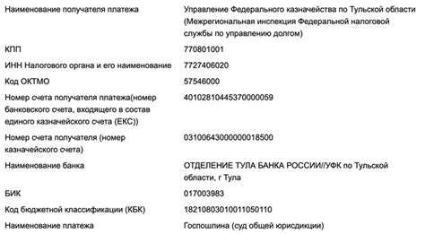 Проверка факта оплаты государственной пошлины: шаги к подтверждению