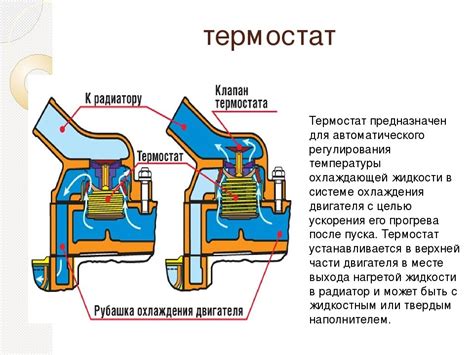 Проверьте состояние радиаторов и термостатов