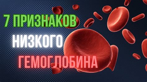 Провоцирующие факторы низкого гемоглобина