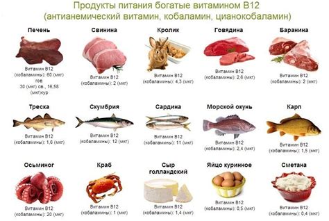 Продукты, богатые витамином В12