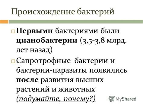 Происхождение бактерии