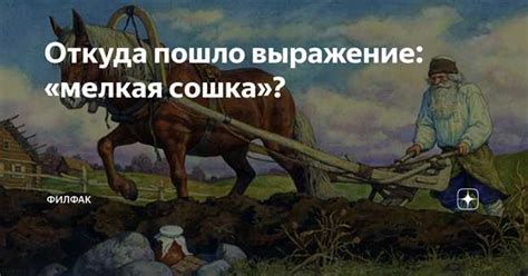 Происхождение страсти