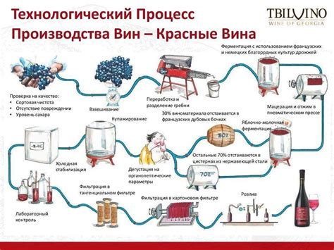 Противодействие микроорганизмам в производстве вина