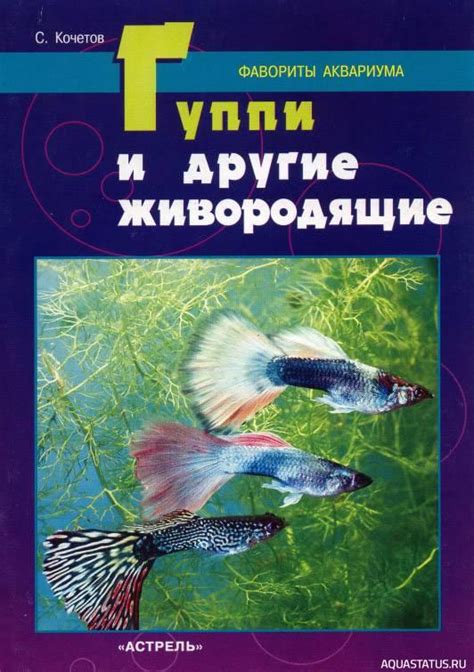 Профессиональный совет: рекомендации по разведению гуппи и данио