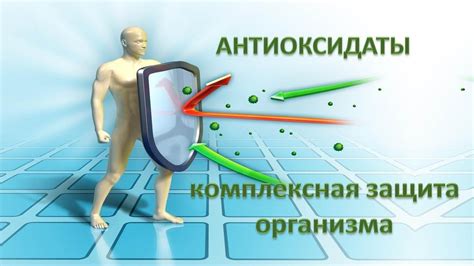 Профилактика и защита от свободных радикалов