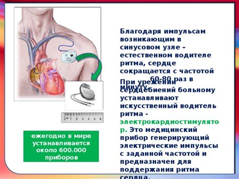 Профилактические меры для поддержания нормального ритма сердца