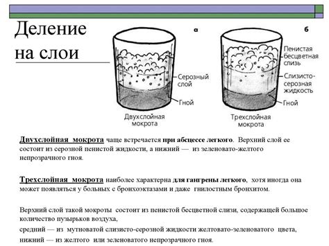 Процесс выделения мокроты