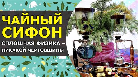 Процесс заваривания чая с цветами базилика