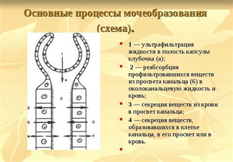 Процесс и механизм