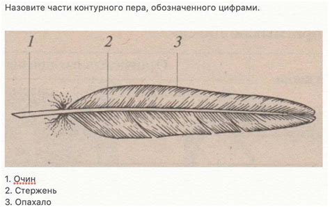 Процесс контурного обводжения