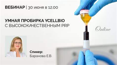 Процесс обработки напы для получения высококачественной кожи