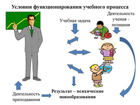 Процесс обучения и оптимизации