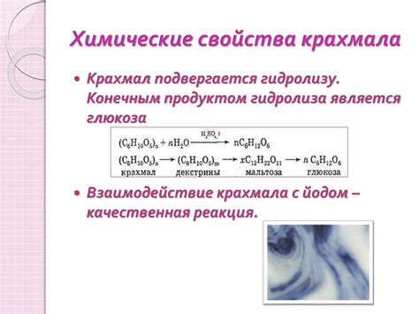 Процесс реакции крахмала с йодом