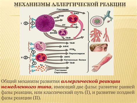 Проявление белых пупырышек на руках при аллергической реакции