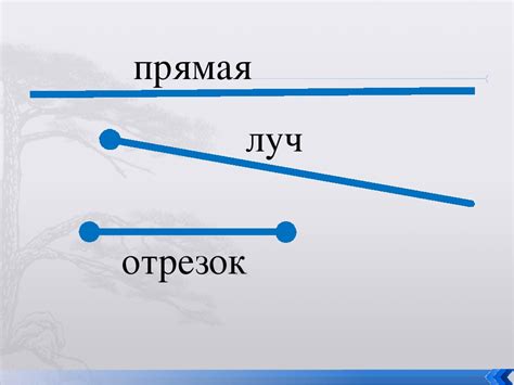 Прямая и отрезок в математике