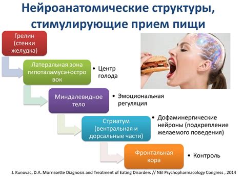 Психологические аспекты нарушения пищевого поведения