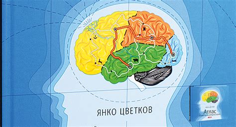 Психологический подход: воздействие стереотипов и предрассудков на восприятие джинс 