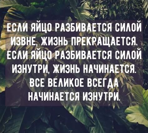 Работайте над собой, преодолевайте слабости и развивайте силы