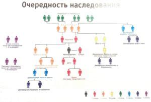 Равные права наследования для всех троюродных родственников