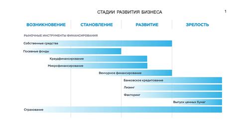 Развитие и поддержка малого и среднего предпринимательства в РФ