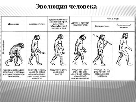 Развитие личной эволюции