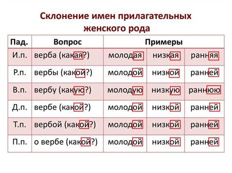 Раздел: Склонение фамилии Подорога в предложном падеже