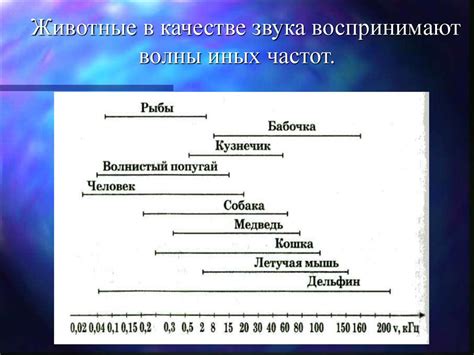 Различия в качестве звука