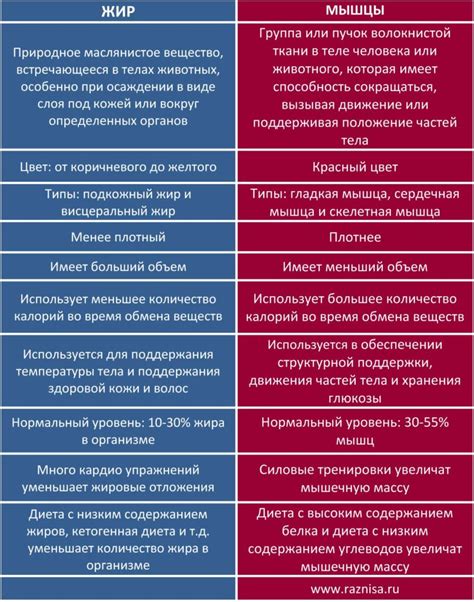 Различия в содержании жира между уткой и другими мясными продуктами