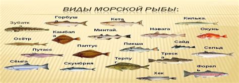 Различия в характеристиках морской и пресноводной рыбы