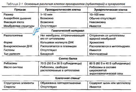 Различия между насобеком и назарелом: