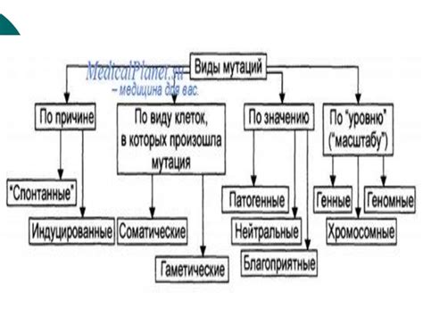 Различные формы мутаций и их последствия