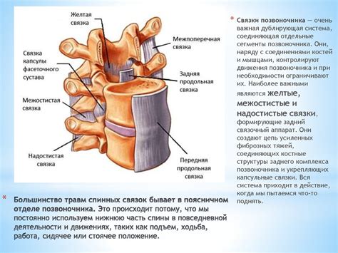 Различные формы нарушения статики позвоночного столба