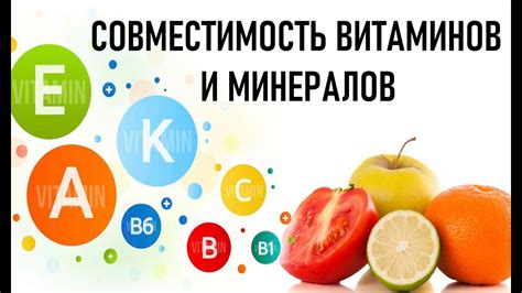 Разнообразие витаминов и минералов