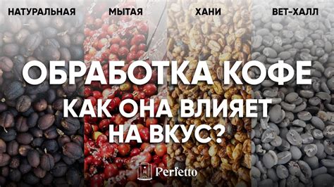 Разнообразие вкусовых изысков, создаваемых с помощью завораживающего масла