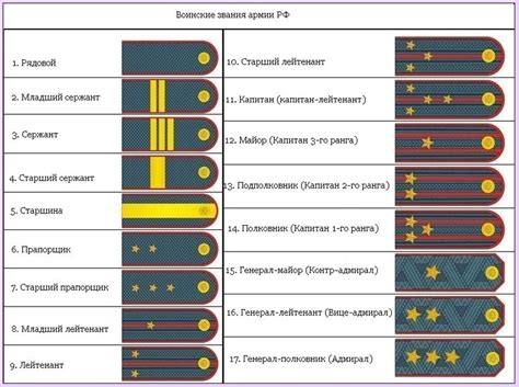 Разнообразие рангов и их функции