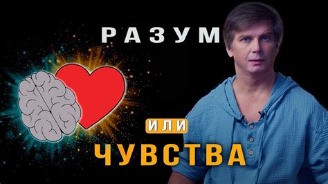 Разум и Чувства: Источники Истины