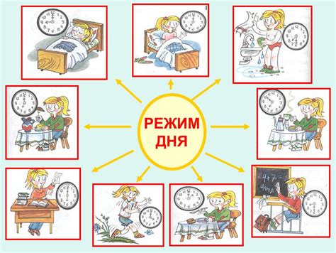 Распорядок дня в комнате