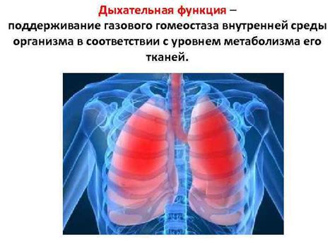 Расстройства функции дыхательной системы: влияние контакта с домашними животными