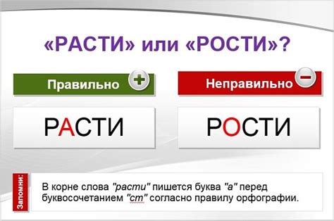 Расти или рости: разбираемся в правильном выборе