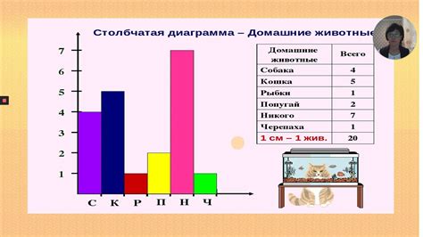 Рациональное распределение информации в отчете: эффективный способ представления данных