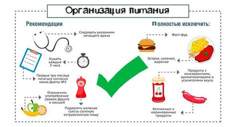 Рацион и лечебное питание для увеличения шансов на выживание