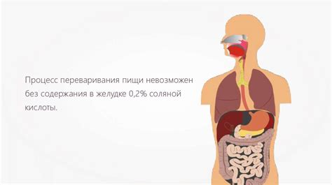 Реактивность галогенов и их химическое поведение