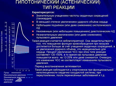 Реакция кровеносных сосудов на физическую нагрузку