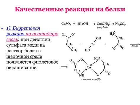 Реакция на белки