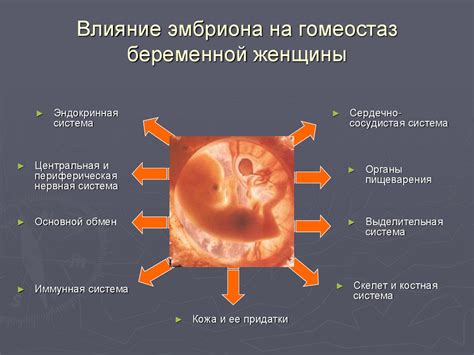 Реальные изменения в организме