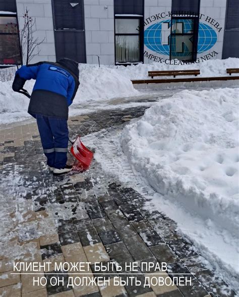 Регулярная очистка поверхности воды от листвы