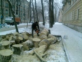 Регулярное обрезание деревьев вблизи пруда